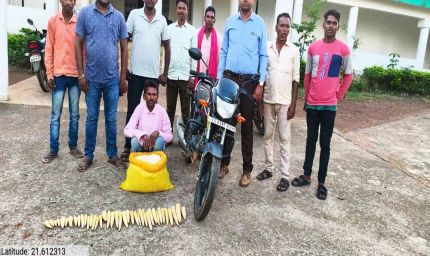 रायपुर : बांस करील के अवैध परिवहन पर कार्रवाई आरोपी गिरफ्तार
