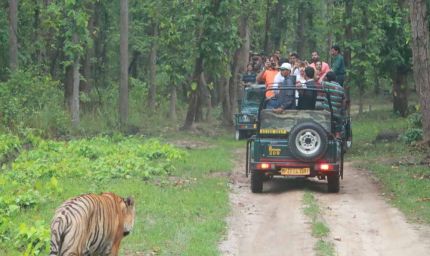 कान्हा नेशनल पार्क: अब बिना वेटिंग होगी टाइगर सफारी, खुला नया गेट
