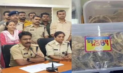 उज्जैन बैंक लूट के आरोपी नेपाल भागने वाले थे, पुलिस ने धर दबोचा, 5 गिरफ्तार