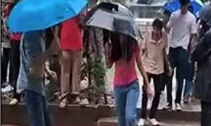 PU चुनाव: कैंपस में मतदान प्रक्रिया शुरू, सुरक्षा के कड़े इंतजाम