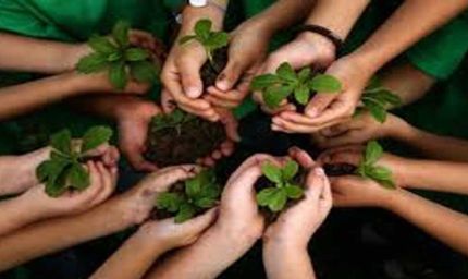 पौधरोपण महाभियान-2025: शिक्षकों के सम्मान में सभी वन प्रभाग लगाएंगे 'एक पेड़ गुरु के नाम'