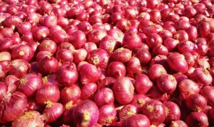 अब प्याज की बढ़ती कीमत से राहत, इन शहरों में मिलेगा सब्सिडी वाला प्याज
