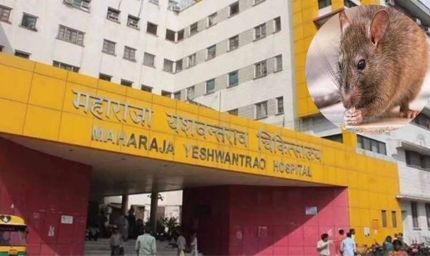 इंदौर MY अस्पताल में दो नवजातों पर चूहों का हमला, पहले भी हो चुकी ऐसी घटनाएं