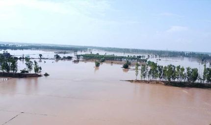 हरियाणा में घग्गर-मारकंडा बाढ़ का कहर, कई जिलों की फसलें डूबीं, यातायात और ट्रेने प्रभावित