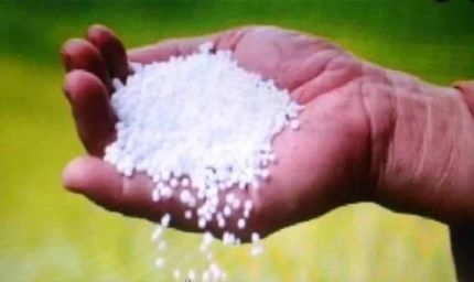 MP में धान बोआई बढ़ी, यूरिया संकट गहराया: खाद के लिए कतारों में किसान