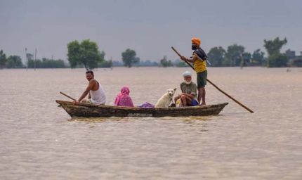 पंजाब में बाढ़ का कहर! 1996 गांव डूबे, 46 मौतें और 1.75 लाख हेक्टेयर फसल बर्बाद