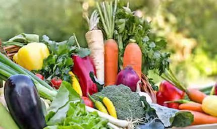 सितंबर में ये फसलें उगाएं, कुछ ही महीनों में पाएं सालभर की आमदनी!