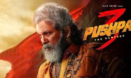अल्लू अर्जुन की 'पुष्पा: द रैम्पेज' की तीसरी कड़ी आ रही है! डायरेक्टर ने दिया बड़ा अपडेट