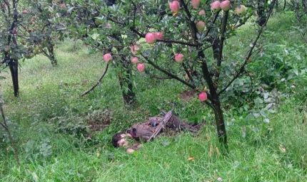 कुलगाम एनकाउंटर: दो आतंकी ढेर, दो जवान शहीद, दो घायल