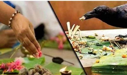 श्राद्ध में कौवे ने नहीं लिया भोग? जानें पंचबलि भोग का महत्व और सही तरीका