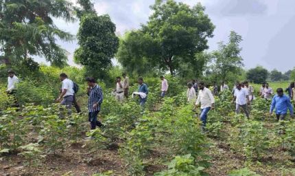 MP में जुड़वां नवजातों की मौत: 15 दिन बाद कब्र से निकाला गया बच्चे का शव, पोस्टमार्टम से खुलेंगे राज