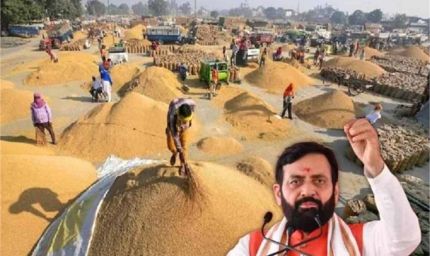 हरियाणा में फसलों की खरीद में 24 घंटे तैनात रहेंगे निरीक्षक, CM सैनी ने दिए कड़े आदेश