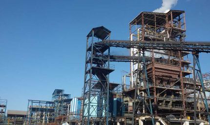 सोम डिस्टलरी पर एक्साइज विभाग का बड़ा एक्शन, 8 ठिकानों पर छापा, 50 करोड़ की टैक्स चोरी का खुलासा