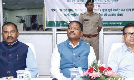 रायपुर : वन मंत्री केदार कश्यप ने की वन विभाग के कार्यों की समीक्षा