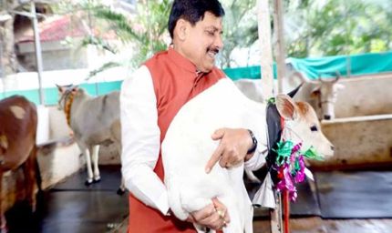 मुख्यमंत्री डॉ. यादव ने नवजात बछिया का किया नामकरण