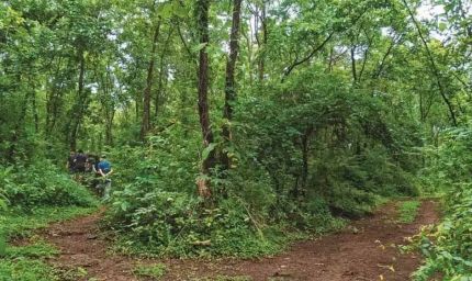 सेवा पर्व को 'स्वच्छ उत्सव' के रूप में भी मनाएगा वन विभाग