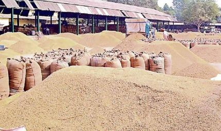 बिहार खाद्य निगम में बड़ी कार्रवाई: 12 पदाधिकारी निलंबित, विभाग ने सख्ती दिखाई