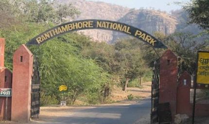 रणथंभौर में निगरानी पर संकट: 12 में से 11 ई-कैमरे ठप