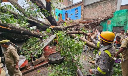 लखनऊ में बारिश का कहर: भारी पेड़ गिरा, 1 की मौत, कई घायल, डिप्टी सीएम现场 पहुंचे