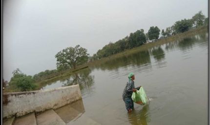 रायपुर : अमृत सरोवर से मिल रही आर्थिक उन्नति, 650 महिलाओं को मिला रोजगार