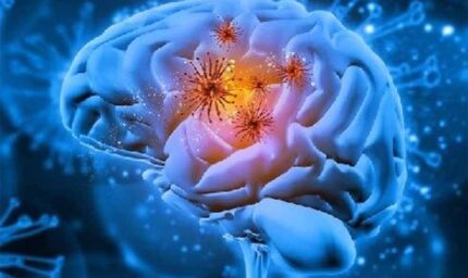 केरल में दिमाग खाने वाला अमीबा: 19 मौतों के बाद जानें कारण, लक्षण और बचाव