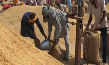 पश्चिमी यूपी में पहली अक्टूबर से होगी धान खरीद, सरकार ने बढ़ाया धान का न्यूनतम समर्थन मूल्य