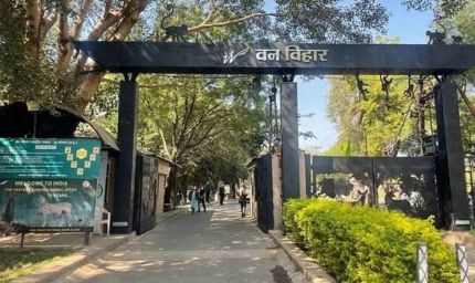 एक से सात अक्टूबर तक मनेगा वन्य-प्राणी सप्ताह