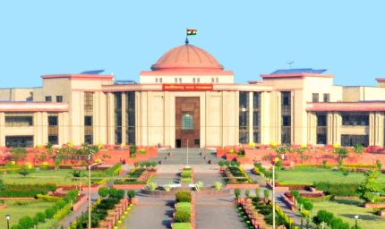 पति को पालतू चूहा कहना और अलग रहने की जिद मानसिक क्रूरता की श्रेणी में: हाईकोर्ट