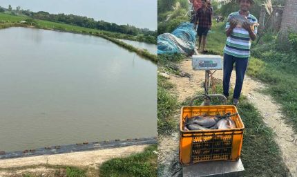 मिशन शक्ति से मिली प्रेरणा, तालाब से बदली जिंदगी