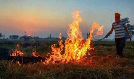 पंजाब में पराली संकट फिर तूल पर: 14 FIR दर्ज, इस जिले में सबसे ज्यादा केस