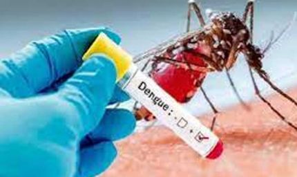 हरियाणा में डेंगू के मामले 792 पहुंचे, रेवाड़ी में सबसे ज्यादा 191 केस; स्वास्थ्य विभाग अलर्ट