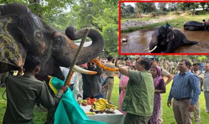 मध्यप्रदेश में सात दिवसीय हाथी महोत्सव का शुभारंभ