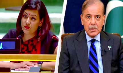 टूटा एयरबेस और जले हैंगर पर शहबाज की जीत? भारत ने UN में पाक को जमकर खरी-खोटी सुनाई