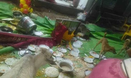 गृह प्रवेश में मातम: तेज रफ्तार कार पंडाल तोड़कर भीड़ में घुसी, चार की हालत नाजुक