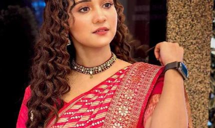 गरबा सीखने के लिए खूब मेहनत करती हैं आशी सिंह