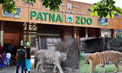 Patna Zoo को बनाएं और भी आकर्षक, विभाग आम नागरिकों से मांग रहा सुझाव