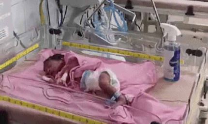कन्या-पूजन पर्व पर नवजात बच्ची को छोड़ दिया, लूनकरणसर में झाड़ियों में मिली बच्ची