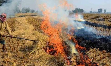 हरियाणा में प्रदूषण रोकने की बड़ी पहल: पराली जलाने वालों पर होगी सख्त कार्रवाई