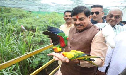 इंदौर प्राणी संग्रहालय में शिमोगा से आए चार जंगली भैंस, नए मेहमानों से मिलने पहुंचे मुख्यमंत्री यादव