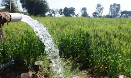 रबी सीजन में निर्बाध एवं गुणवत्तापूर्ण विद्युत आपूर्ति की व्यवस्था