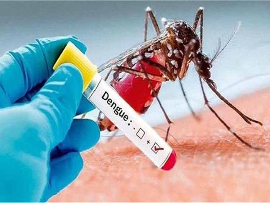 हरियाणा में डेंगू का कहर: 367 मामले, पानीपत में पहली मौत से हड़कंप