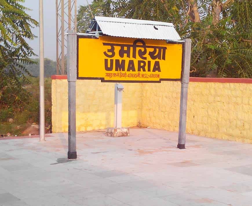 उमरिया: प्रेमी युगल ने रेलवे ट्रैक पर जान दी, लाशें आपस में लिपटी मिलीं
