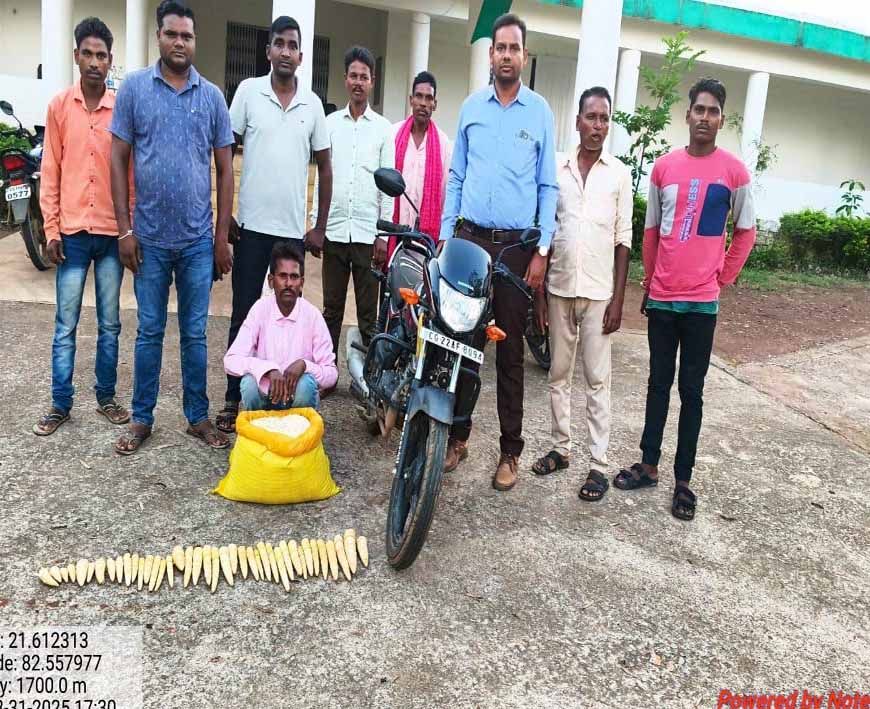 रायपुर : बांस करील के अवैध परिवहन पर कार्रवाई आरोपी गिरफ्तार