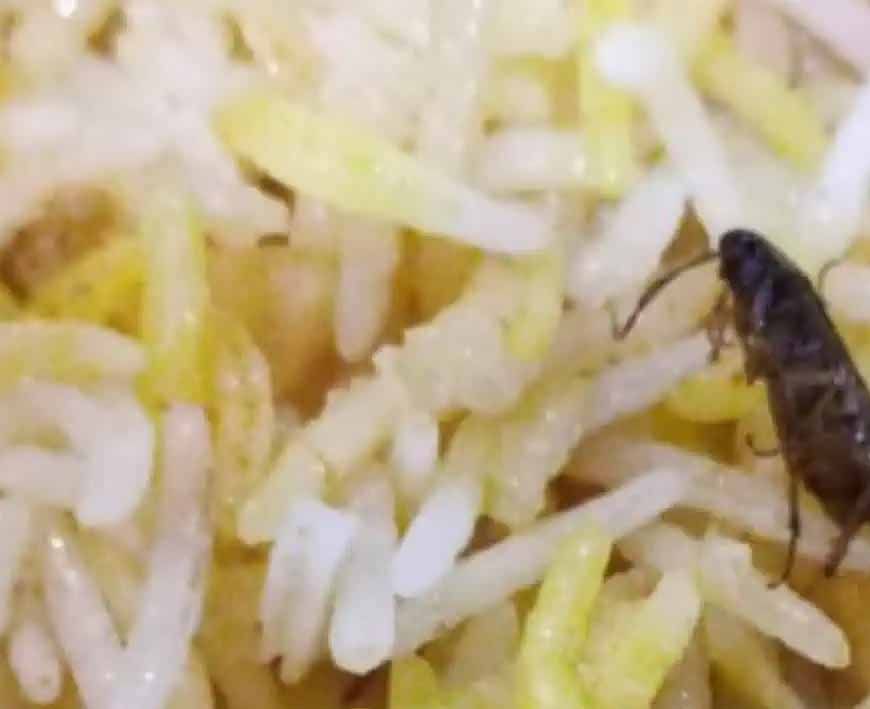 अम्बिकापुर : रेस्टोरेंट की बिरयानी में निकला कॉकरोच मामला, खाद्य एवं औषधि विभाग ने की कार्यवाही
