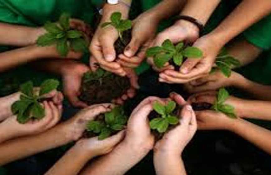 पौधरोपण महाभियान-2025: शिक्षकों के सम्मान में सभी वन प्रभाग लगाएंगे 'एक पेड़ गुरु के नाम'