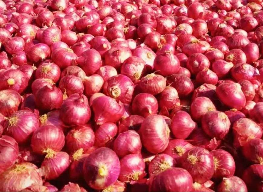 अब प्याज की बढ़ती कीमत से राहत, इन शहरों में मिलेगा सब्सिडी वाला प्याज
