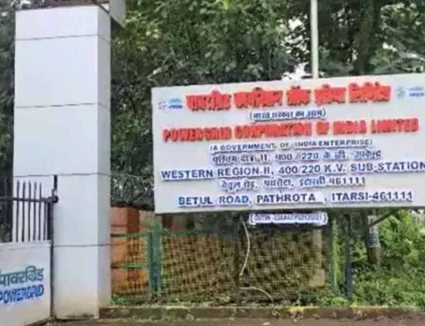 जंगल से बाहर आया तेंदुआ, इलाके में दहशत, 13 सितंबर तक स्कूल बंद