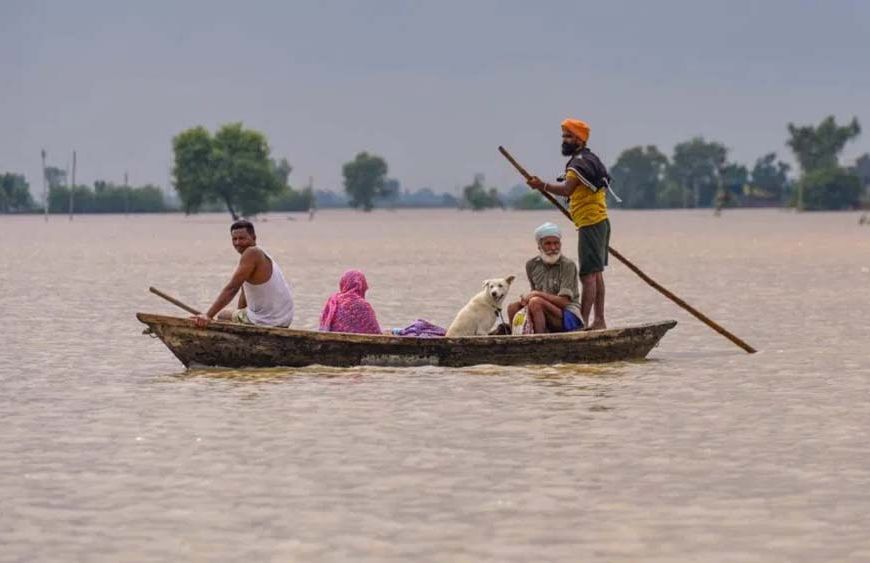 पंजाब में बाढ़ का कहर! 1996 गांव डूबे, 46 मौतें और 1.75 लाख हेक्टेयर फसल बर्बाद