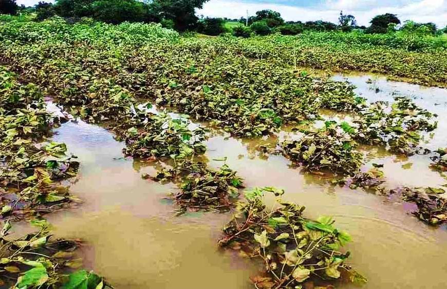 राजस्थान में कमजोर मानसून, तबाही के निशान पीछे – अब सरकार से राहत की उम्मीद