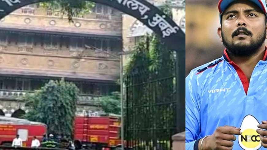 लड़की से छेड़छाड़ पर पृथ्वी शॉ पर जुर्माना, 2024 का शर्मनाक वाक्या आया सामने!